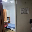 코스모고시원