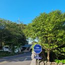 하얀달(HAYANDAL) | 제주 남원 숙소 &#39;스테이하얀달&#39; 후기