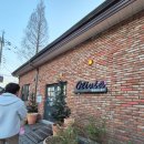 창말로 | 화성맛집 분위기 좋은 "올리비아델리"에서 결혼기념일 아이와함께 방문후기💕