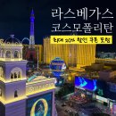 서부농업협동조합 | 라스베가스 코스모폴리탄 호텔 후기 파운틴뷰 신혼여행 숙소 내돈내산 추천