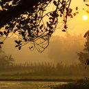 인정상회 이미지