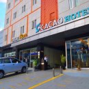 카카오(cacao) 이미지