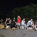 제주도게스트하우스친절한경배씨 네이버블로그