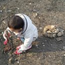 자매 농장 이미지