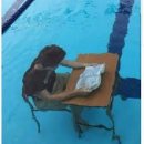 효령로 32 이미지