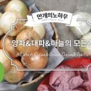 참치김치볶음 레시피 만드는 법 묵은지 참치볶음 만들기 이미지