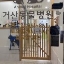 거산동물병원 네이버블로그