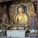 정토 - 광진구 | 3월 일본 교토 여행 후기(8) - 정토진종 세계문화유산 서본원사