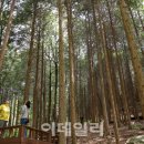 구룡천제방 이미지