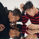 피오코리아 이미지