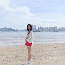 송송이갈비 | 여자 카톡 프사 촬영, 인생샷 컨설팅 송송이 내돈내산 후기 [부산]