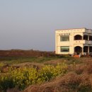 등머울 민박 이미지