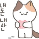 청년피자포항 이미지
