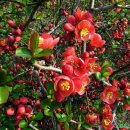 열린자리 이미지