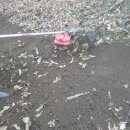 백전농장 이미지