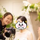 쫄랭쫄랭 이미지