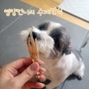 강아지언니 | [내돈내산] 강아지 수제간식 추천, 영양언니의 수제간식 후기 (강아지 뼈간식/순살간식)