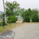 코끼리 관광농원 이미지