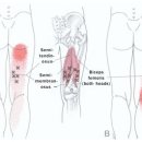 경희다정한의원 이미지