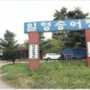 일영송어장 이미지