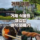 쌤김밥 | 거제여행 비오는 날 코스 거제식물원, 쌤김밥, 바삭꽈배기 방문한 후기