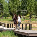 마곡공원 이미지