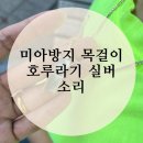 아라골드 | 풍무동 아라골드 미아방지 목걸이 호루라기 펜던트 구입 후기, 호루라기 소리 크기