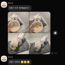 멍더가든 이미지