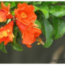 낙동강자전거길6 이미지