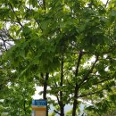 쌍용터널 앞 이미지