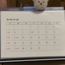 라쿠친 | 대구 수성구 범어동 판초밥 추천 맛집 | 라쿠친스시