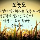 모순되고 연약한 나의 진심(똥물장로의 묵상) 이미지