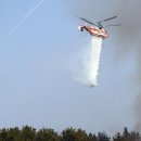 새영화목장 이미지