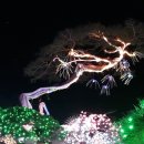 팀 스트라익 주짓수 킥복싱 합기도 이미지