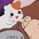 루나솔스튜디오