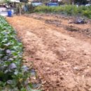 신정2리 마을회관 이미지