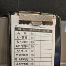 순희네집 빈대떡 | 서울 광장시장 맛집 나들이 '창신육회' vs '순희네빈대떡' 시식후기..