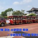 수원 화성어차(열차) 시간 예매 총정리 장안문 연무대 등 경기도 드라이브 코스 이미지