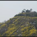 응봉산 팔각정 이미지