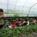 아름다운밀양농장 이미지