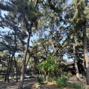 항구해맞이경로당 | 포항 여행 코모도 호텔 주니어 스위트 트윈 후기, 포항 가볼만한 곳 호미곶 스페이스워크 구룡포일본...