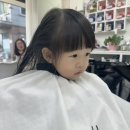 포퍼피트 이미지