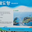 대도