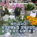 농협부산공판장2번 | 부산 강서구 부경원예농협 경제사업장 꽃 구매 후기 도매가로 꽃 사는 방법