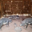 월남파병용사 만남의 장 이미지