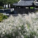 팔달어린이공원 이미지