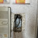 장미비디오 | 아산 태헌장미 1차 아파트 비디오폰, 도어락 시공 후기