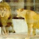 부린이의 부동산 재테크 이미지