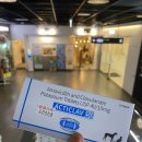 서울숲팜프라자약국 | 서울숲/뚝섬 고양이항생제 구입처 - 액티클라브 판매약국