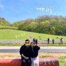 대관령 숨이 탁 코스 | 대관령 양떼목장 하늘목장 1박2일 여행코스 추천
